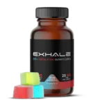 ExhaleWell | CBD + THC Gummy Cubes