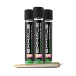 Exhalewell | THCA Diamond Infused Pre Roll | Hybrid - Gelato Strain | 1g - Image 3