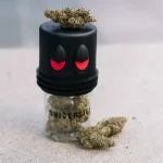 University | Blue Nerdz | THCA Indoor Flower | 3.5g - Image 6