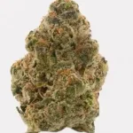 University | Oreo Blizzard | THCA Indoor Flower | 3.5g - Image 5