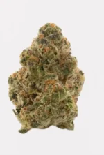 University | Oreo Blizzard | THCA Indoor Flower | 3.5g - Image 3