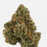 University | Pablotto | THCA Indoor Flower | 3.5g - Image 7