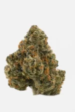 University | Pablotto | THCA Indoor Flower | 3.5g - Image 4