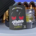 University | Pablotto | THCA Premium Live Batter | 2g - Image 7