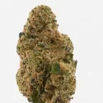 University | Pink Zaburst Runtz | THCA Indoor Flower | 3.5g - Image 7