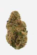 University | Pink Zaburst Runtz | THCA Indoor Flower | 3.5g - Image 4