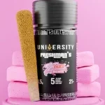 University | Pink Zaburst Runtz | THCA Freshman Premium Prerolls | 3.5g - Image 5