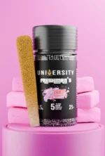 University | Pink Zaburst Runtz | THCA Freshman Premium Prerolls | 3.5g