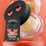 University | Rose Mimosa | THCA Premium Live Batter | 2g - Image 4