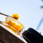 University | Rose Mimosa | THCA Premium Live Batter | 2g - Image 5