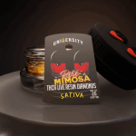 University | Rose Mimosa | THCA Live Resin Diamonds | 2g - Image 7