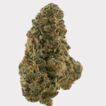 University | Rose Mimosa | THCA Indoor Flower | 3.5g - Image 5