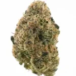 University | Zaagendaaz | THCA Indoor Flower | 3.5g - Image 7